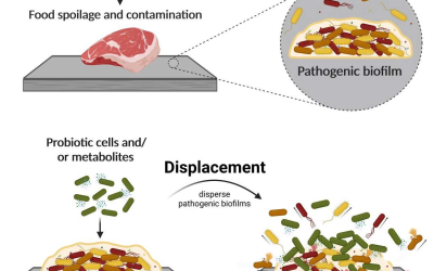 New Publication: Use of Probiotics to Control Biofilm Formation in Food Industries